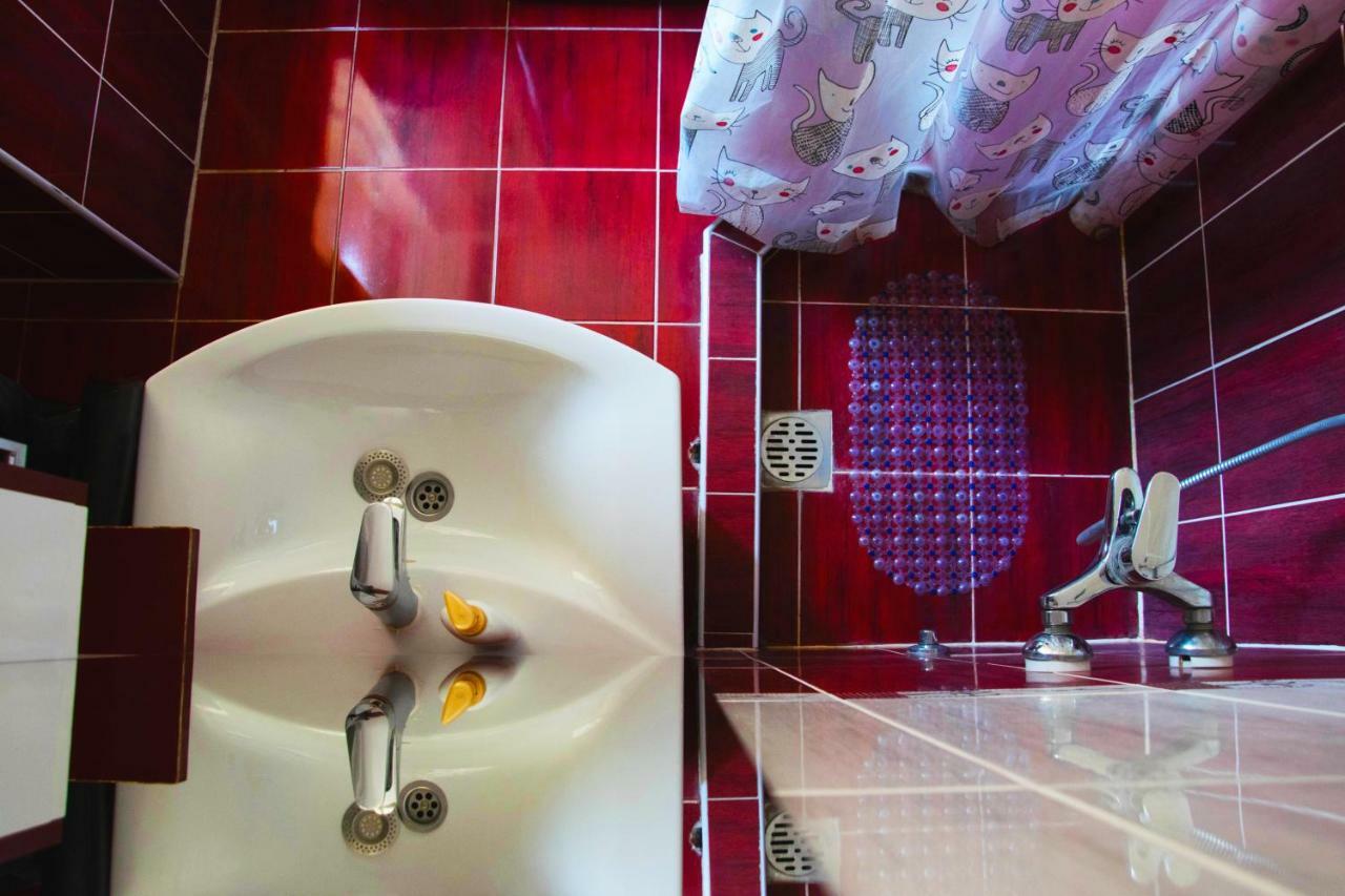 Apartment Danica Belgrad Zewnętrze zdjęcie
